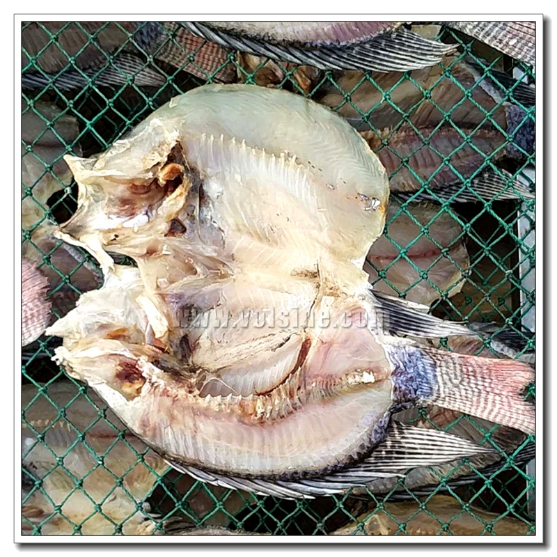 鱼干烘干机